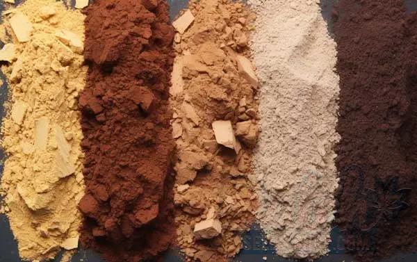 Selecting and Preparing Soil