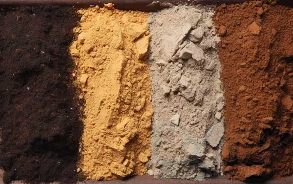 Selecting and Preparing Soil
