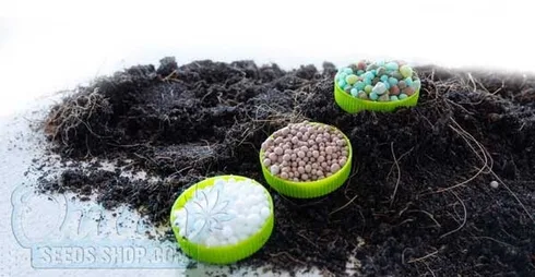 Nutrients and Fertilizers